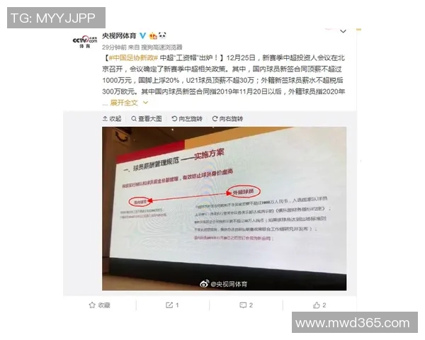 国内足球明星年薪揭秘各大俱乐部薪资差异与球员收入分析